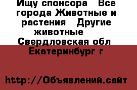 Ищу спонсора - Все города Животные и растения » Другие животные   . Свердловская обл.,Екатеринбург г.